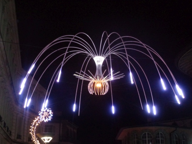 Poleen - Haut du Petit-Chêne - Pitaya