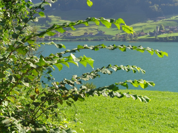 Lungernsee (689m)