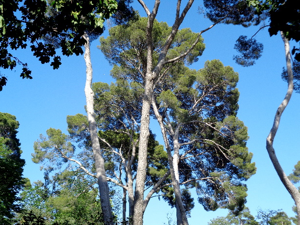 Parque del Buen Retiro