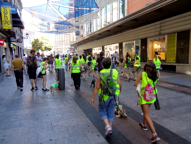 Demo der Hundehalter