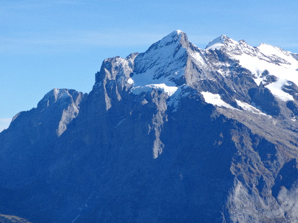 Wetterhorn (3692m)