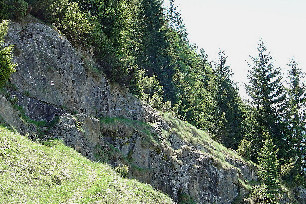 Blick von der Oberriederi