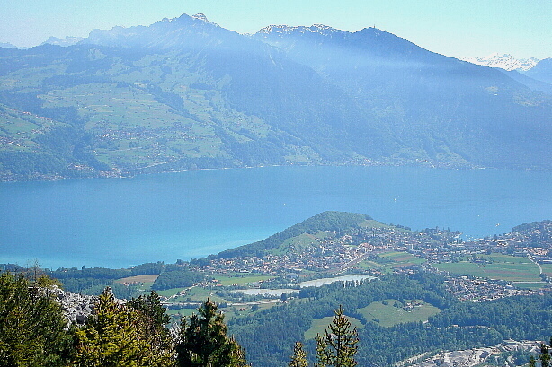 Sigriswilergrat (2051m), Niederhorn (1949m) - in the foreground Spiez