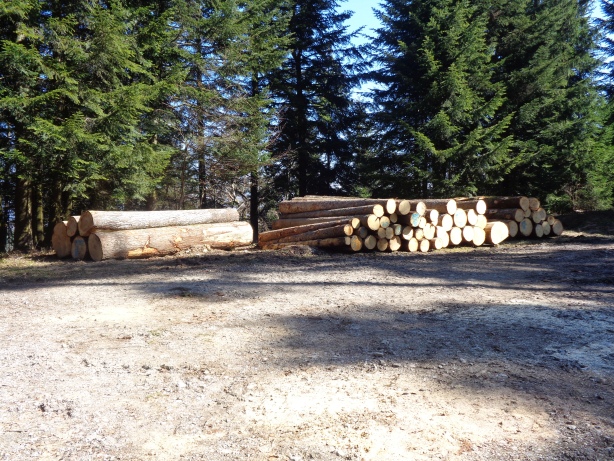 Fischerhubel (1012m)