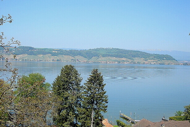 Murtensee