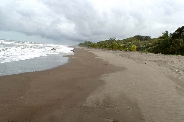 Tortuguero