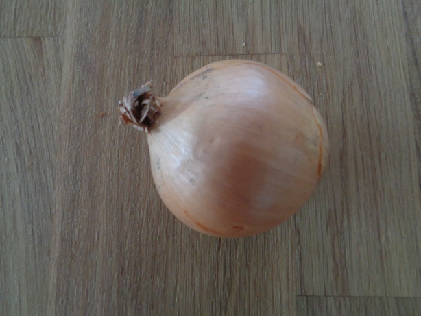 Eine Zwiebel