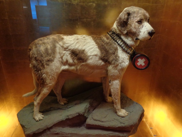 Barry of Grosser St. Bernhard-Pass