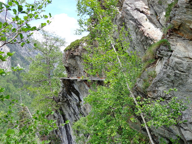 Bisse Gorperi - Meerheji