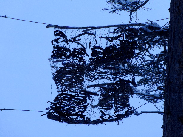 Andrej Maja Tuttwil - Spuren