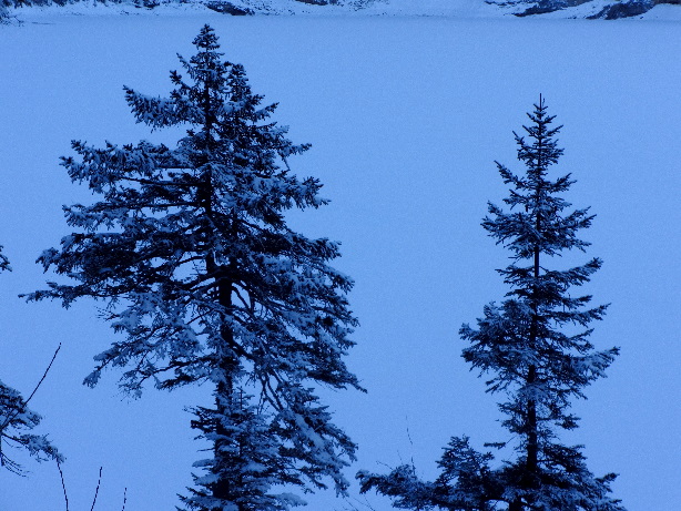 Oeschinensee (1578m)