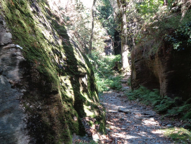 Orrido Ovest / Westschlucht