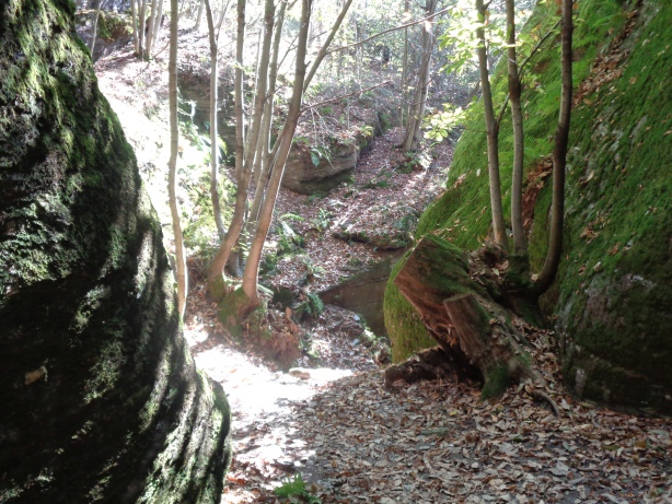 Orrido Ovest / Westschlucht