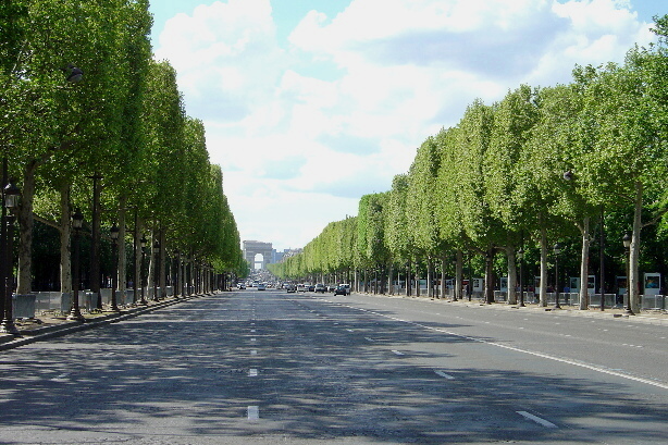 Avenue des Champs-Elysées