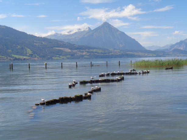 Niesenkette und Thunersee