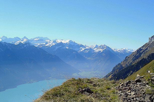 Blüemlisalp (3660m), Lobhörner (2566m), Schwalmere (2777m), Morgenberghorn (2248m)