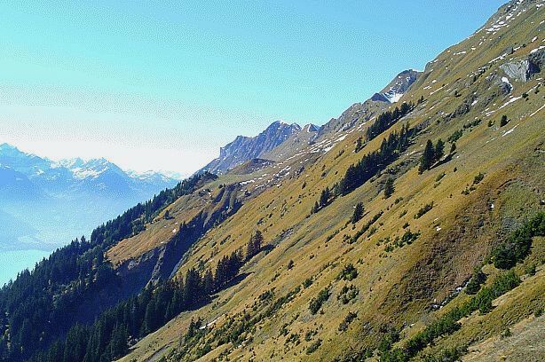 Zwischen Bütschi und Planalp