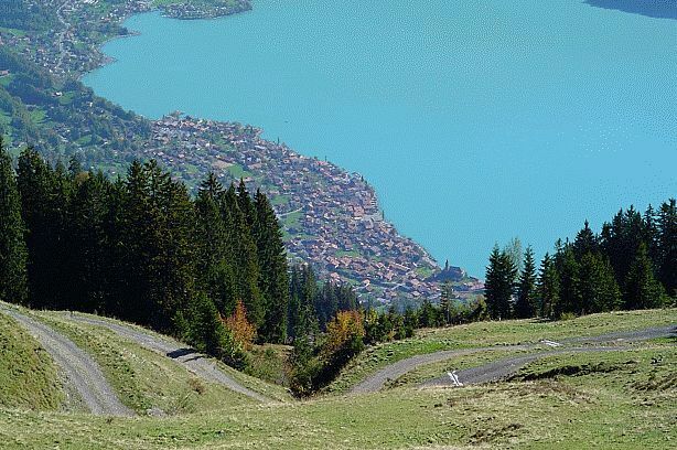 Brienz