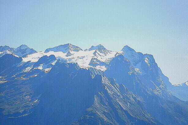 Rosenhorn (3689m), Mittelhorn (3704m), Wetterhorn (3692m)