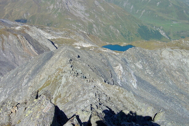 Auf dem Gipfel der Pointe de Drône (2949m)