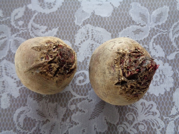 700 Gramm Randen (etwa 2 Knollen)