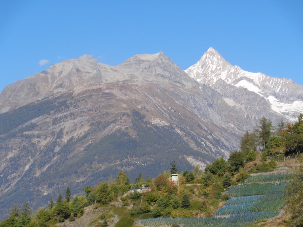 Hogleifa (3278m), Wilerhorn (3307m), Bietschhorn (3934m)