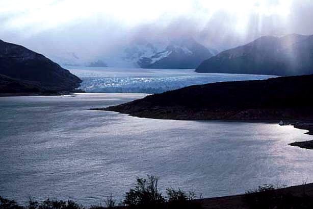 Perrito Morena - Argentinien