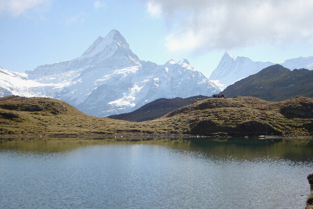 Schreckhorn (4078m) und Finsteraarhorn (4272m)