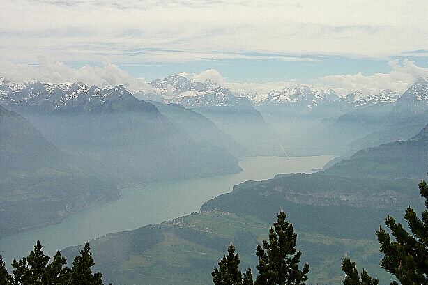 Urnersee und Urner Alpen