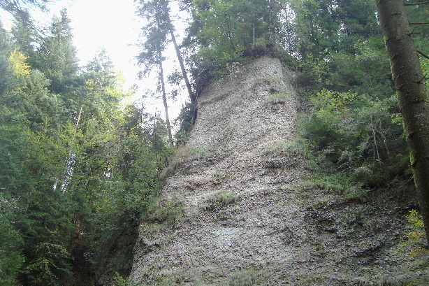 Molasse conglomerate