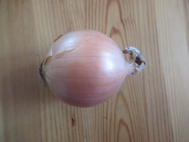 1 Zwiebel