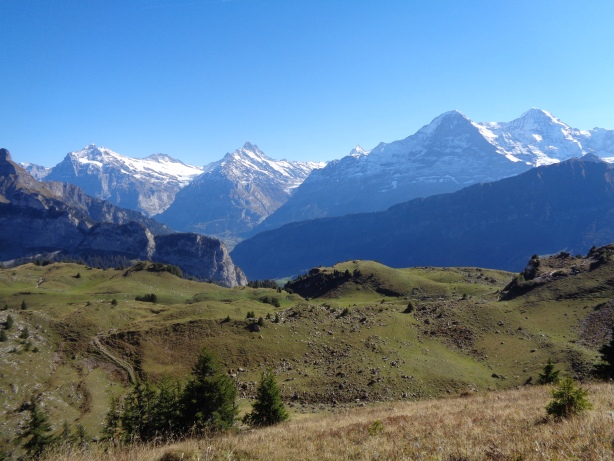 Wetterhorn (3692m), Schreckhorn (4078m), Eiger (3970m), Mönch (4107m)