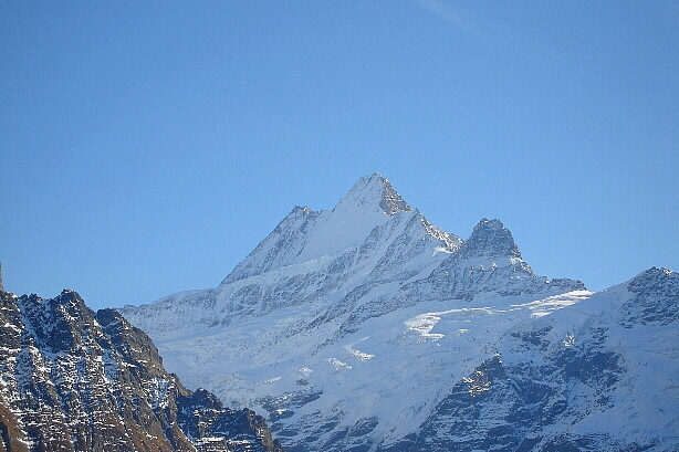 Lauteraarhorn, Schreckhorn, Nässihorn, Kleines Schreckhorn