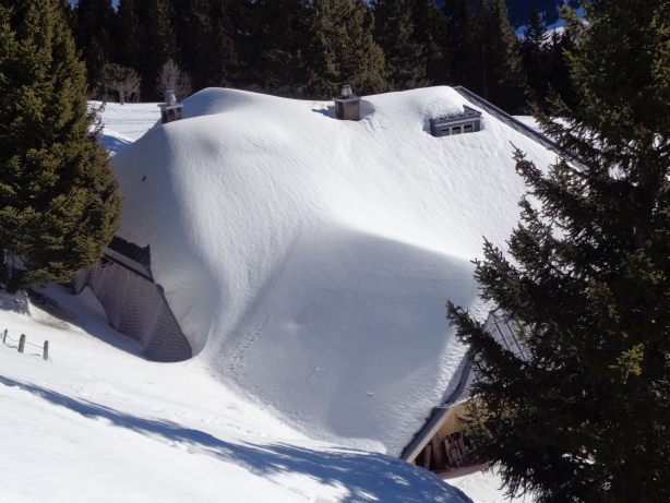 Selibüelhaus / Berggasthaus Selibühl (1670m)