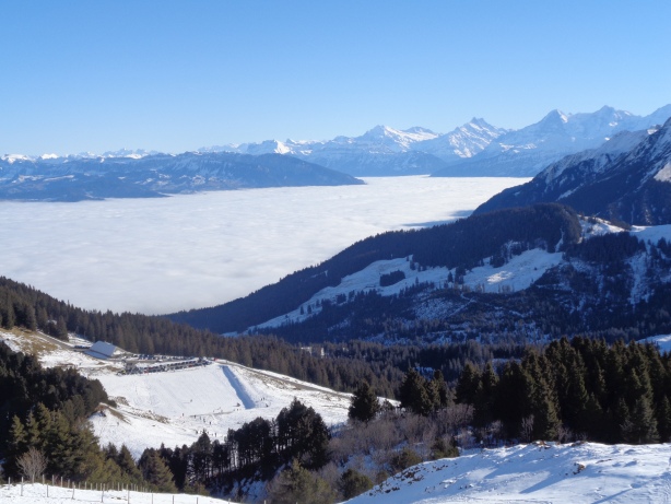 Wetterhorn, Bärglistock, Schreckhorn, Eiger, Mönch