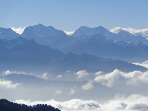 Doldenhorn (3638m), Balmhorn (3699m), Altels (3624m), Rinderhorn (3448m)