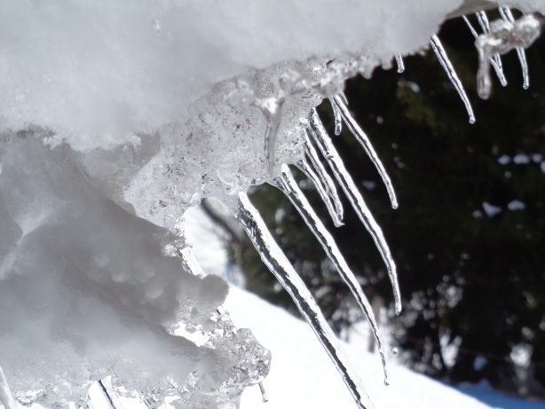 Eiszapfen