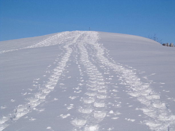 Winterröscht (1759m)