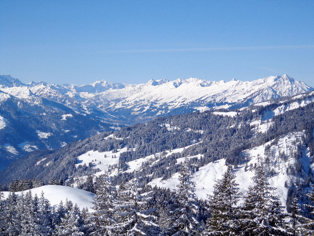 Wildhorn (3247m), Niesenkette