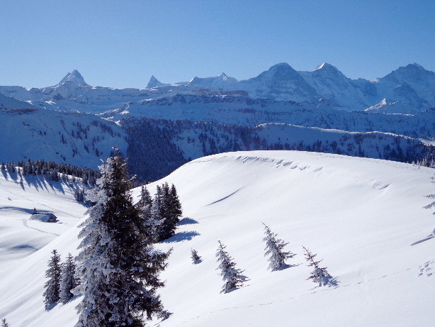 Schreckhorn, Finsteraarhorn, Eiger, Mönch, Jungfrau