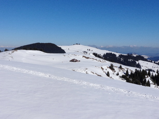 Gross Schwyberg (1645m)