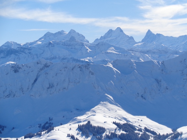 Lauteraarhorn, Schreckhorn, Nässihorn, Gwächta, Finsteraarhorn, Agassizhorn