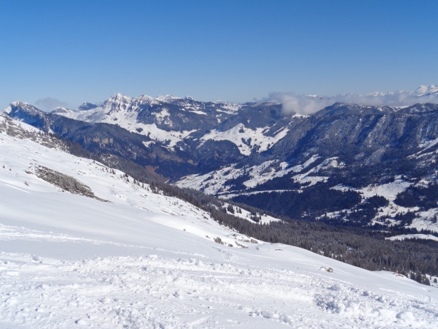 Schwändiliflue, Fürstein (2039m)