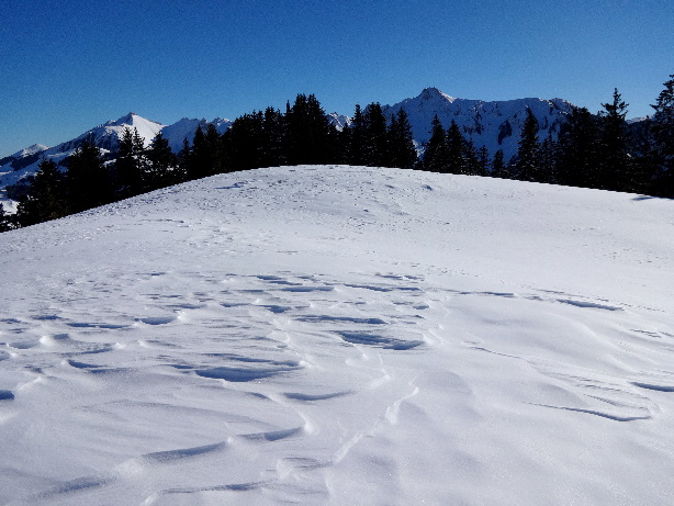 Gipfel Gross Ättenberg (1614m)