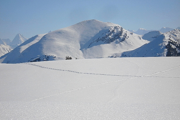 Eiger (3970m), Wiriehorn (2304m)