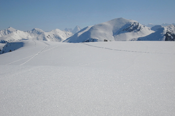 Niesenkette, Wetterhorn (3692m), Eiger (3970m), Wiriehorn (2304m)