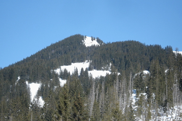 Nünalpstock (1894m)