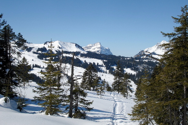 Hundschnubel (1690m), Hohgant (2197m)