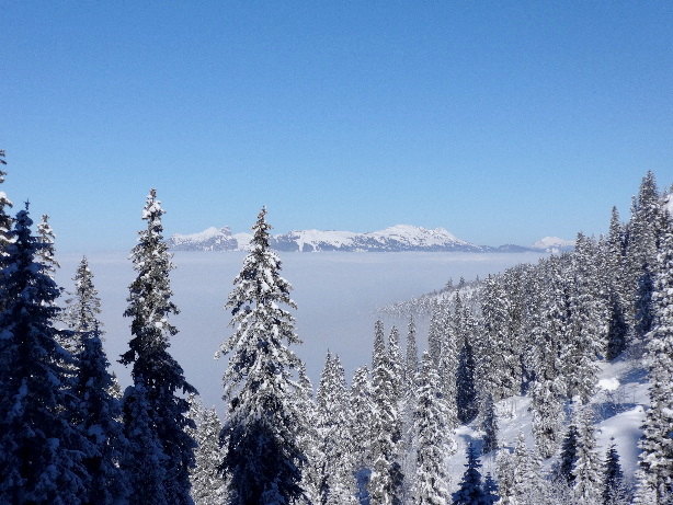 Sigriswiler Rothorn (2050m), Niederhorn (1949m), Gemmenalphorn (2061m)