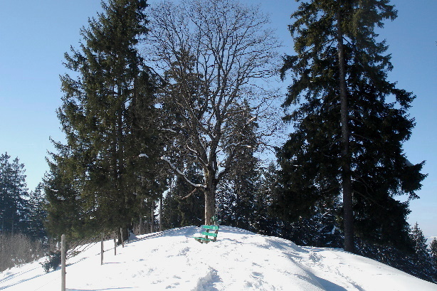 Gipfel Winterberg (1217m)